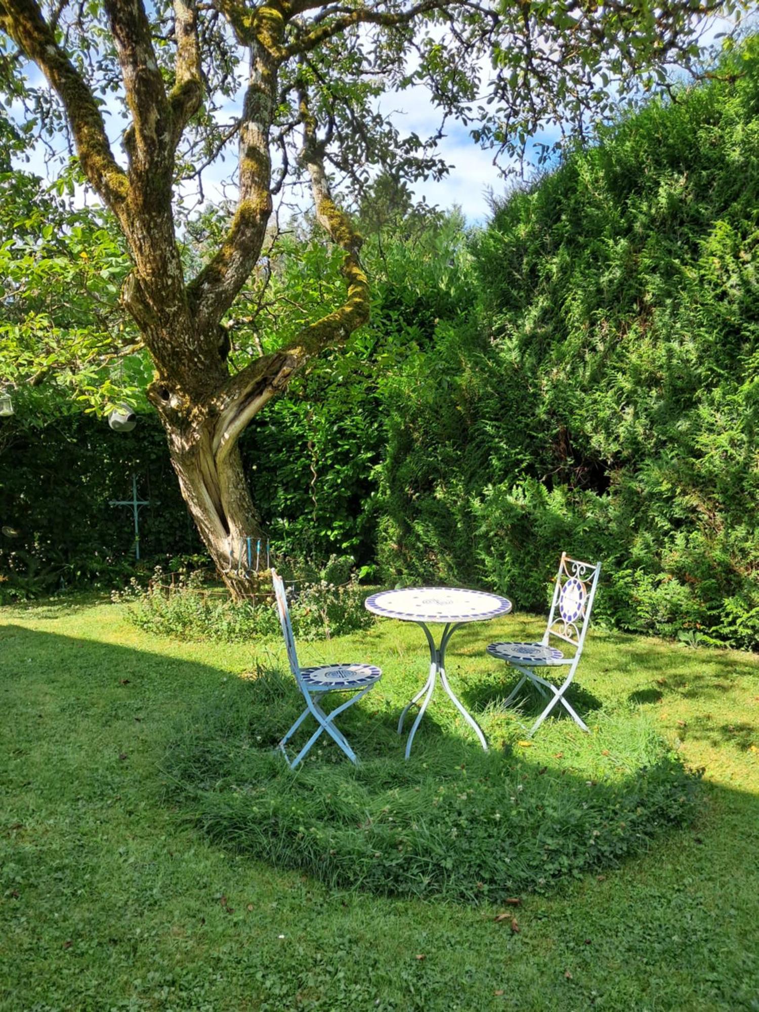Bed and Breakfast Le Buisson De La Gariole Aubigny-sur-Nère Exteriér fotografie